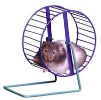 Click image for larger version

Name:	Hamster_Cage.jpg
Views:	1
Size:	7.4 KB
ID:	1297286