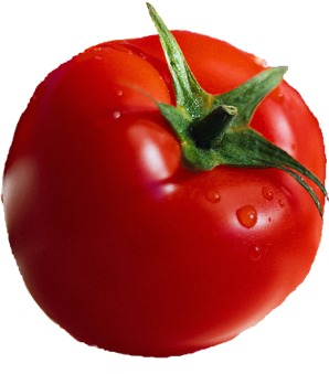 Click image for larger version

Name:	Tomato.jpg
Views:	1
Size:	21.7 KB
ID:	1297293