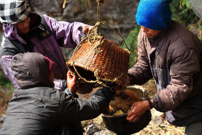 Click image for larger version

Name:	honey-hunters-nepal-31[4].jpg
Views:	1
Size:	147.2 KB
ID:	1305163