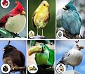 Click image for larger version

Name:	Angry Birds.jpg
Views:	1
Size:	35.5 KB
ID:	1360172